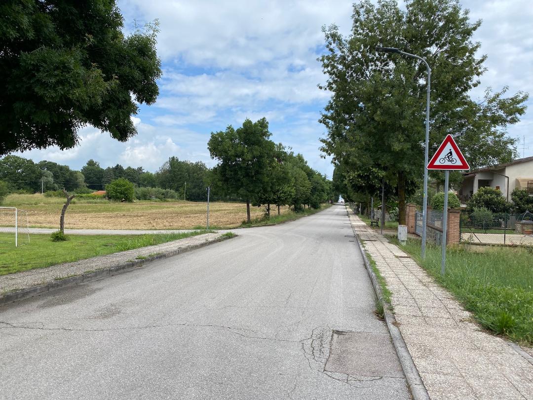 Landstraße, gesäumt von Bäumen, mit einem Schild, das vor Radfahrern auf der Fahrbahn warnt.