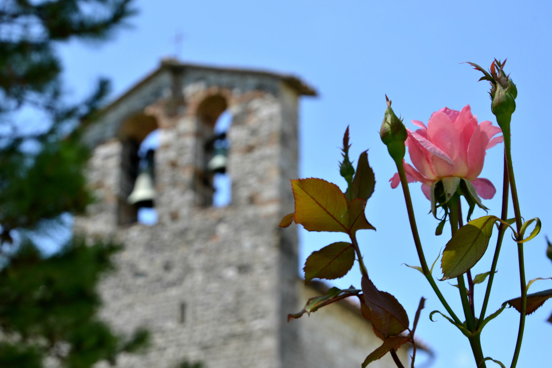 Titolo: The Abbey of San Nicolò