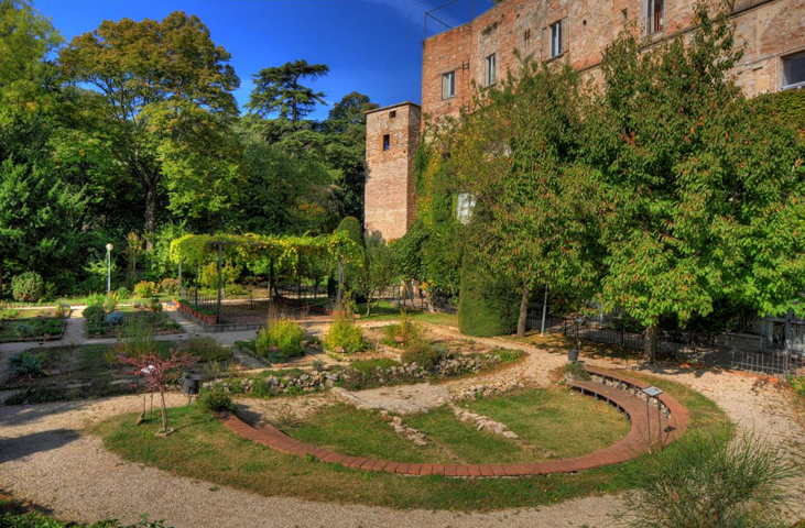 The medieval garden - University Centre for the Science Museums (CAMS)