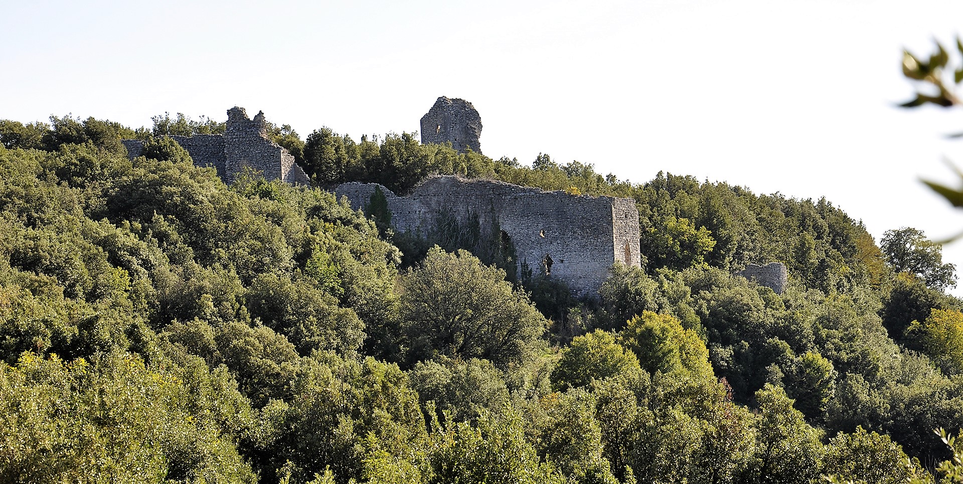 Titolo: Guardea Vecchia