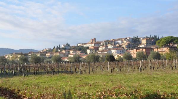  Panoramablick auf Tuoro sul Trasimeno, mit Weinbergen im Vordergrund und bunten Häusern, die sich auf einem grünen Hügel verteilen. 