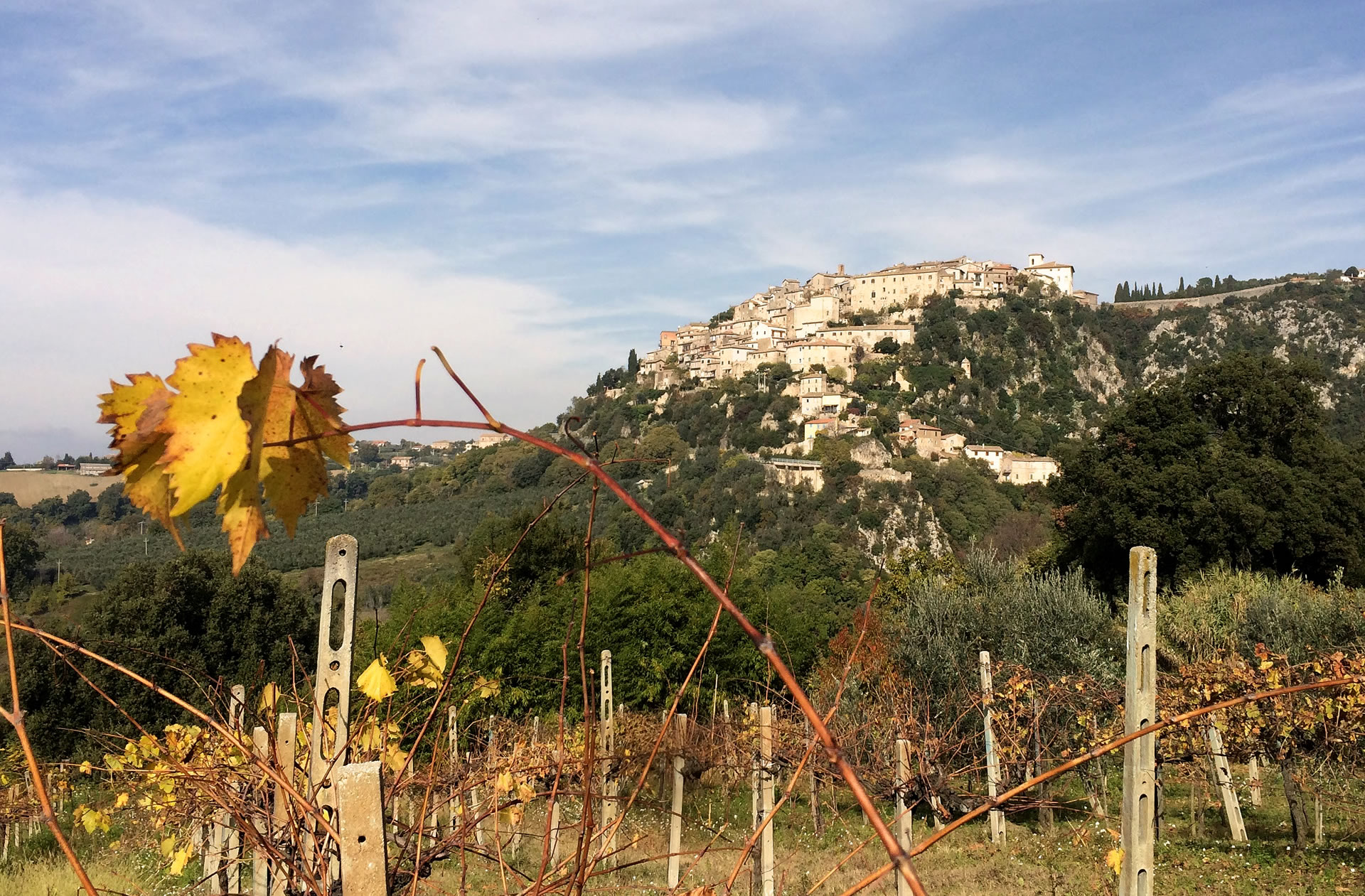 Calvi dell'Umbria, Ufficio IAT di Teni