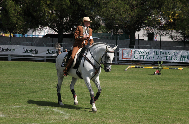 Mostra Nazionale Del Cavallo It Umbriatourismit 