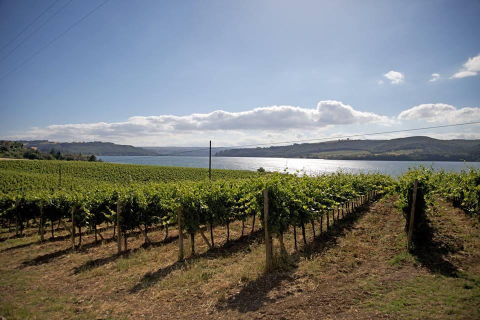 Corbara Lake