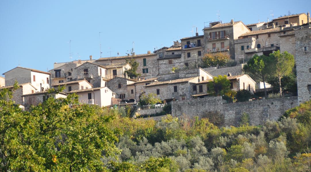 Landscape of olive groves on the hills of Spoleto and Assisi