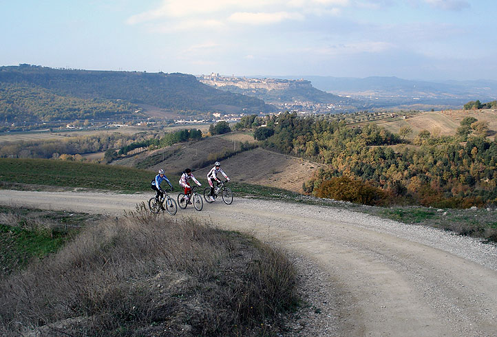 MTB 19 - Il Lago di Corbara e le foreste del Mo