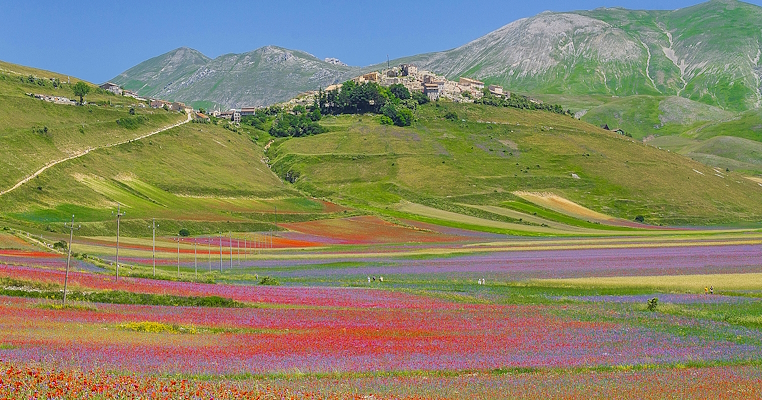 La Floraison de Castelluccio di Norcia