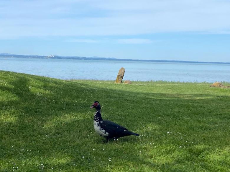  Lago Trasimeno 