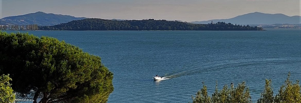 Titolo: Monte del Lago - Magione