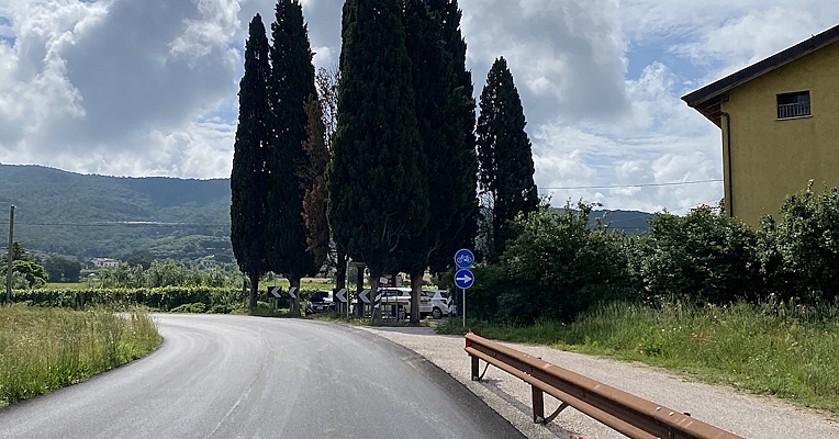 Winding road lined with cypress trees, with cycling signs on the right and parked cars in the distance.