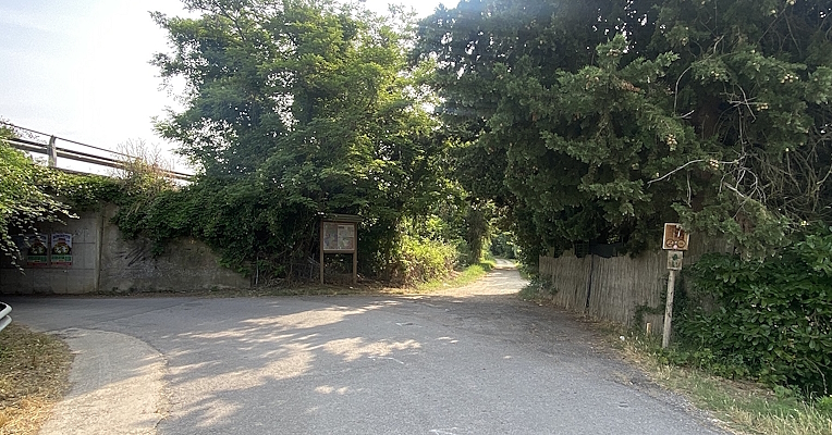 Junction between a paved road and a dirt path, surrounded by trees and with brown tourist signage.