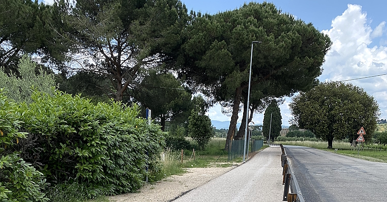 Route asphaltée à côté d'un chemin de terre, avec des arbres et une végétation luxuriante d'un côté et des panneaux routiers.