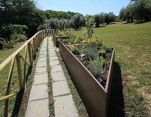 détail de Le jardin des senteurs