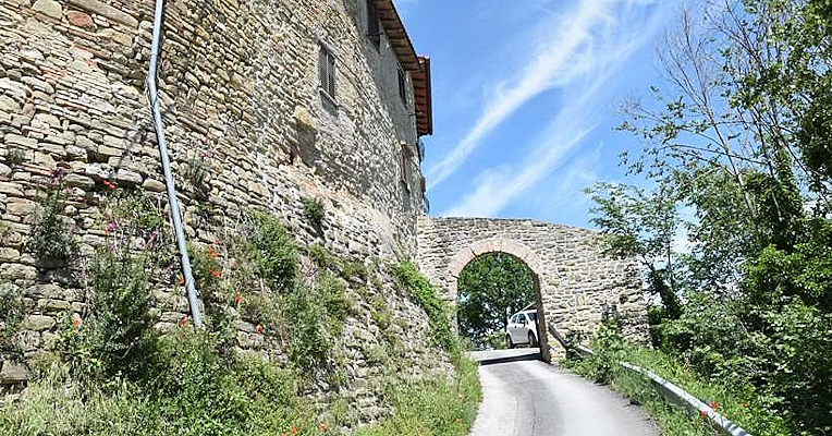 Immagine: Le jardin du colonel à Castel d'Arno et la famille Alfani