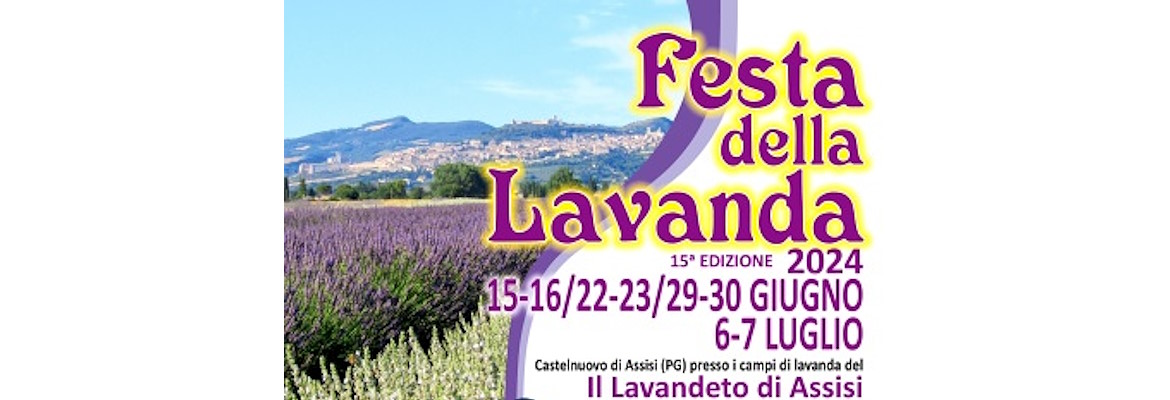 Festa della lavanda ad Assisi