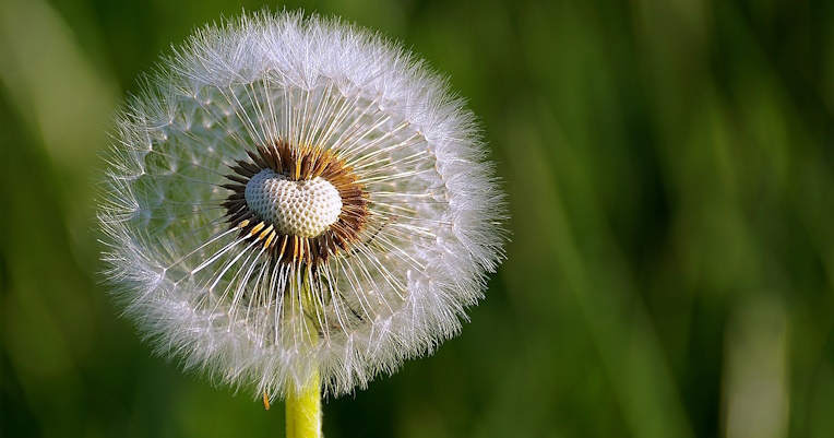 Un desiderio nascosto da scoprire