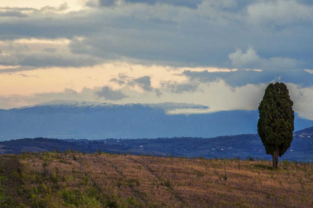 Mt. Peglia Park and the Meana Forest