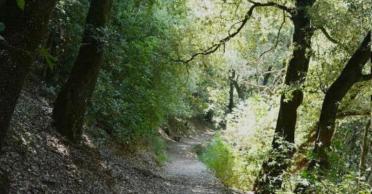  Trekking dall’Abbazia di Sassovivo al Sasso di Pale 