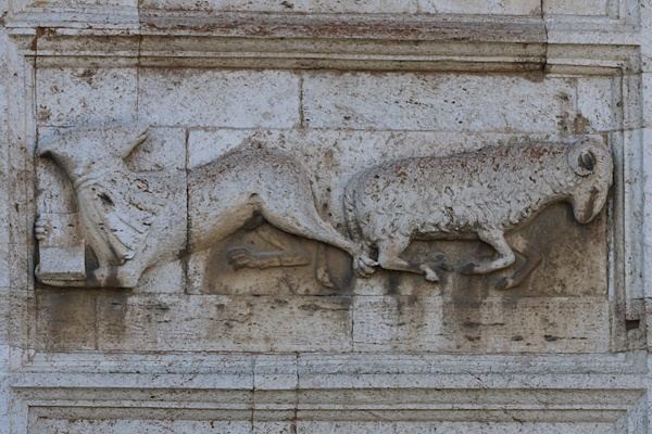 Il lupo studente e il montone