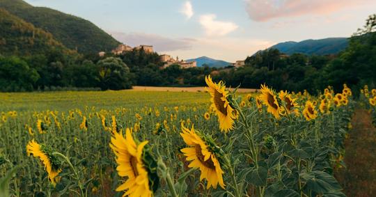 Titolo: Umbria, il cuore verde dell’estate