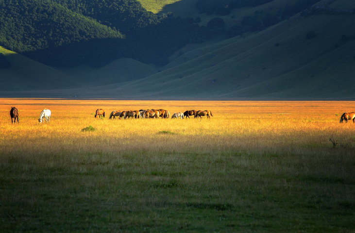 Umbrian routes on horse