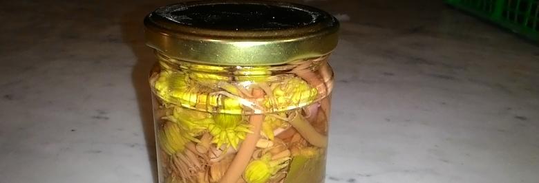  A jar of dandelion flowers in oil. 