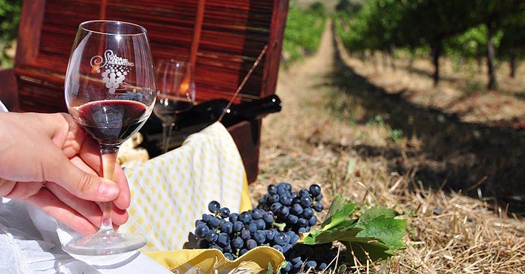 Glass of Sagrantino di Montefalco next to a bunch of black Sagrantino grapes with a vineyard background