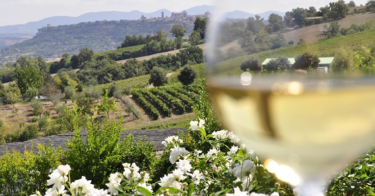 Goblet of Grechetto white wine from Orvieto, the city in the background of the image