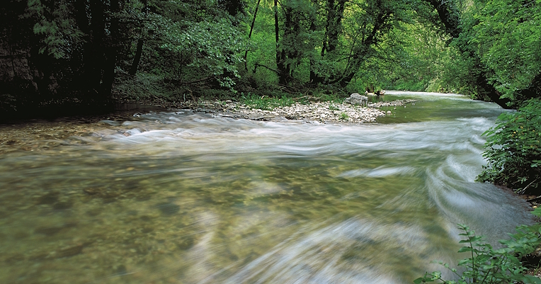 Photo d’un tronçon de rivière avec du courant