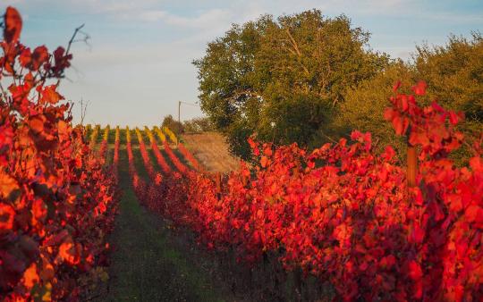 Titolo: Autumn trip to Umbria