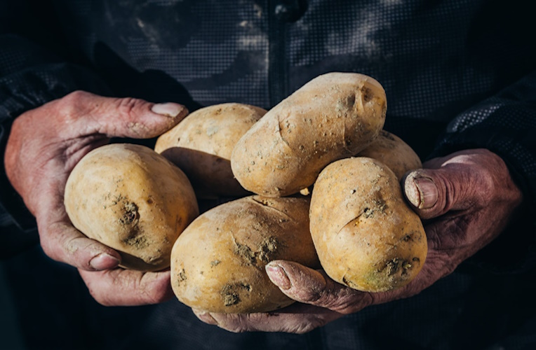 pommes de terre