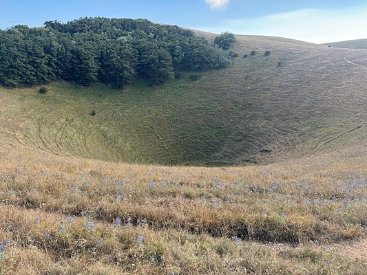 A large grassy sinkhole seen from above, surrounded by hills covered with vegetation. A dense patch of green trees can be seen on the upper edge of the depression. The sky is clear with few clouds.