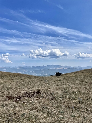 Weite Grasflächen mit Bergen in der Ferne und blauer Himmel mit vereinzelten Wolken.