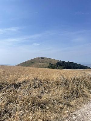 Una collina isolata, vista da lontano, ricoperta di erba secca. Un sentiero sale verso la cima. In primo piano, l'erba dorata e secca domina il paesaggio, con pochi alberi visibili sullo sfondo sotto un cielo sereno.