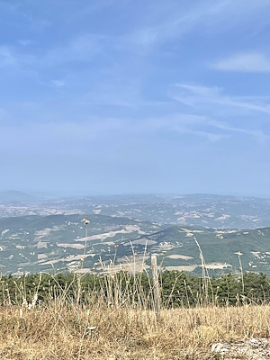 Trockene Vegetation im Vordergrund und eine hügelige Landschaft im Hintergrund.