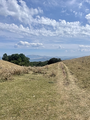 Dirt path winding through grassy hills, with mountains on the horizon and blue sky.