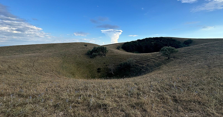 Karstmulden auf dem Monte Subasio, umgeben von Wiesen und vereinzelten Bäumen.