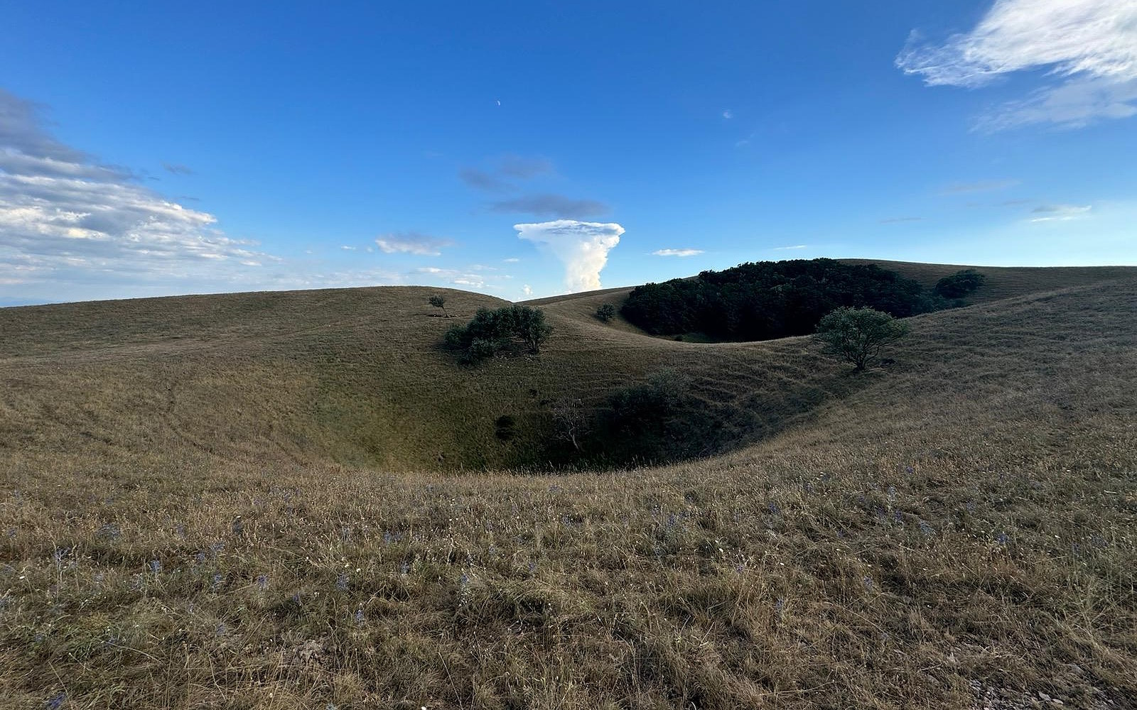 Karst depressions on Monte Subasio, surrounded by meadows and scattered trees.