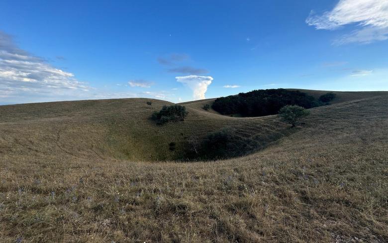 Titolo: Depressioni carsiche sul Monte Subasio, circondate da prati e alberi sparsi. 