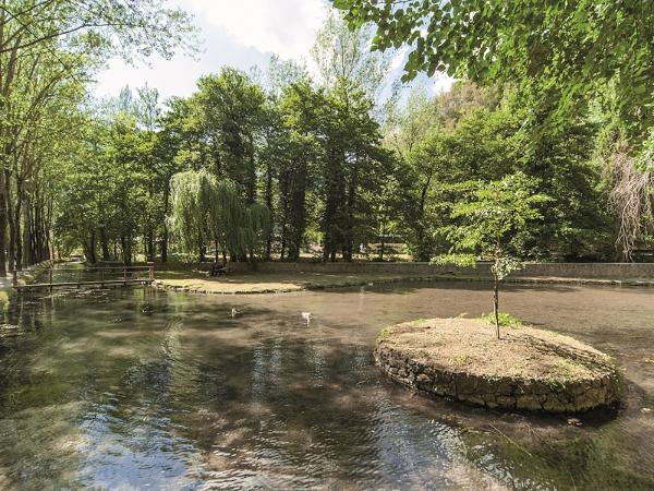 Image des Fonti di Valcasana, près de Scheggino, dont les eaux cristallines s’écoulent au milieu d’une végétation luxuriante.