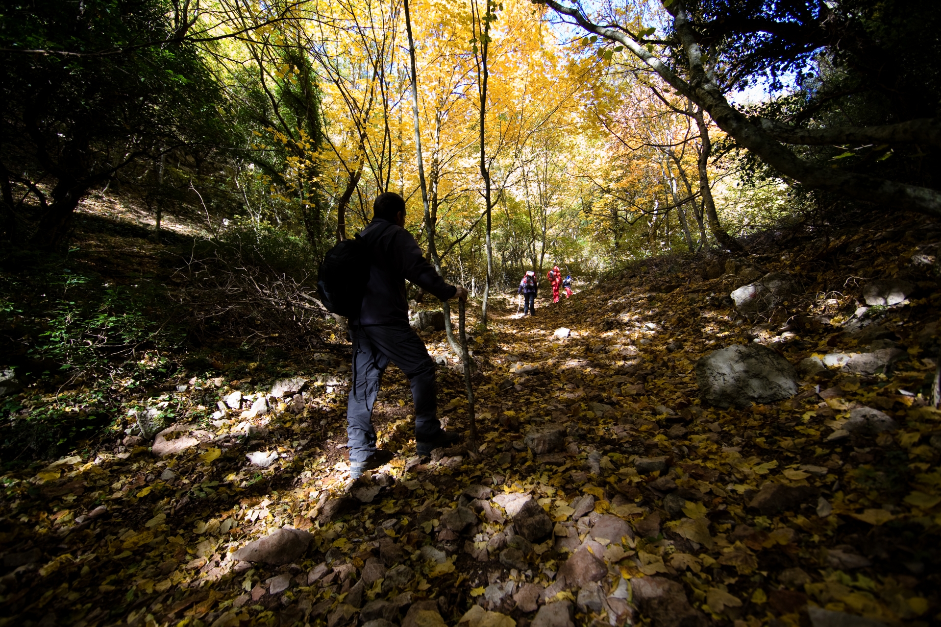 A family in trekking clothes walks along the Way of St. Francis, with a trail marker painted in the shape of a T on a cypress tree.