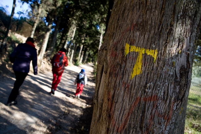  Famille en tenue de randonnée le long du Chemin de Saint François, balises représentées par un T peint sur un cyprès. 