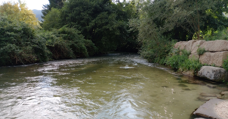 View of the River Nera flowing through the Valnerina, with its clear waters, among the lush vegetation